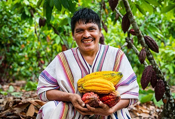 Agricultura con identidad: El cultivo del cacao como motor de desarrollo local